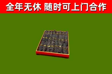 郏市回收海参